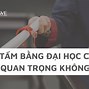 Không Học Đại Học Tiếng Anh Là Gì