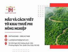 Quy Trình Miễn Giảm Thuế Phi Nông Nghiệp