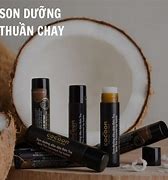 Son Thuần Chay Là Son Gì