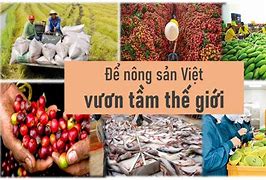 Tình Hình Xuất Khẩu Nông Sản Việt Nam 2022