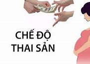 Tra Cứu Tiền Bảo Hiểm Thai Sản